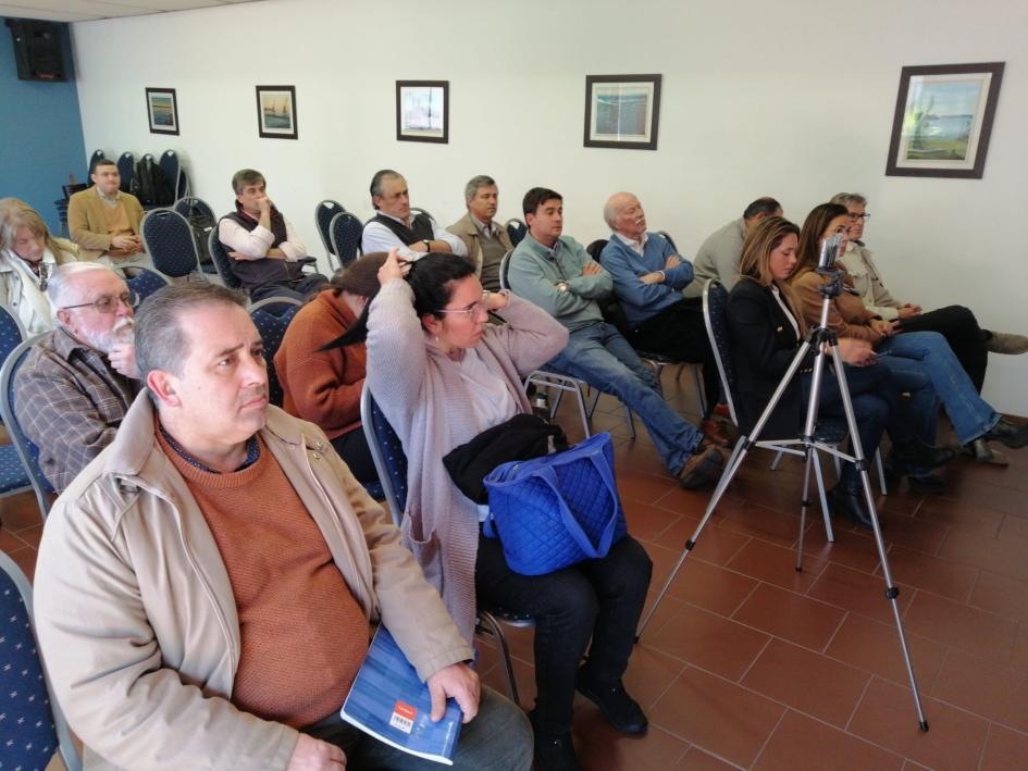 Presentación del informe Análisis del Mercado Laboral en el Departamento de Salto Presentación del informe Análisis del Mercado Laboral en el Departamento de Salto
