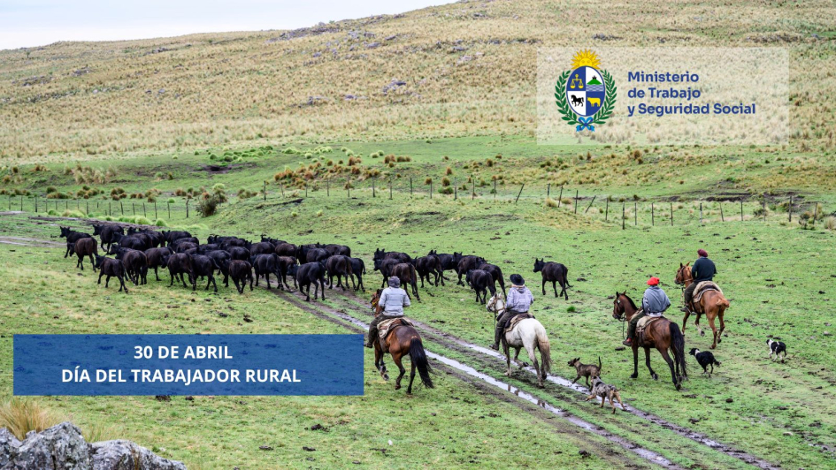 Imagen de trabajadores rurales en caballos, en un campo