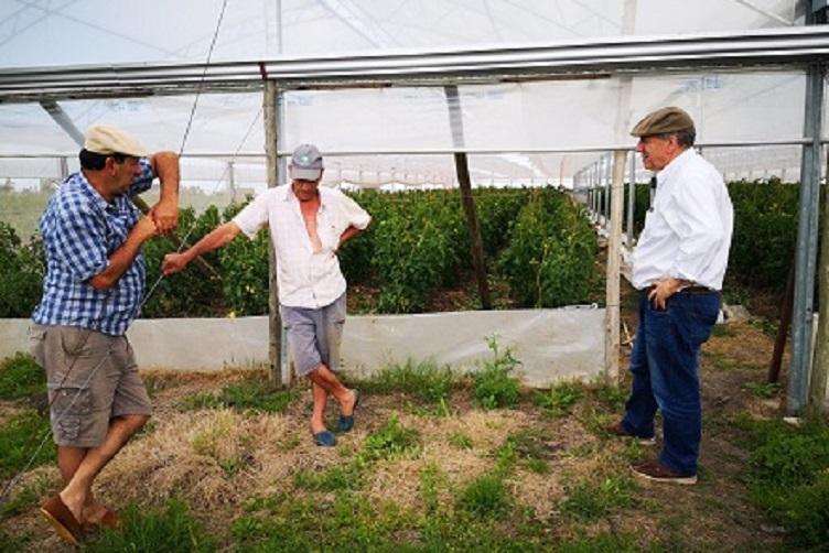 Ministro Murro con productores hortícolas en Fray Marcos Ministro Murro con productores hortícolas en Fray Marcos