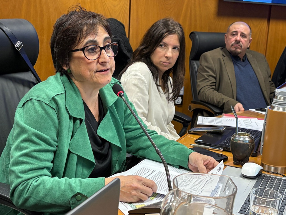 Autoridades del MTSS, INEFOP, INACOOP y BPS en Comisión de Diputados