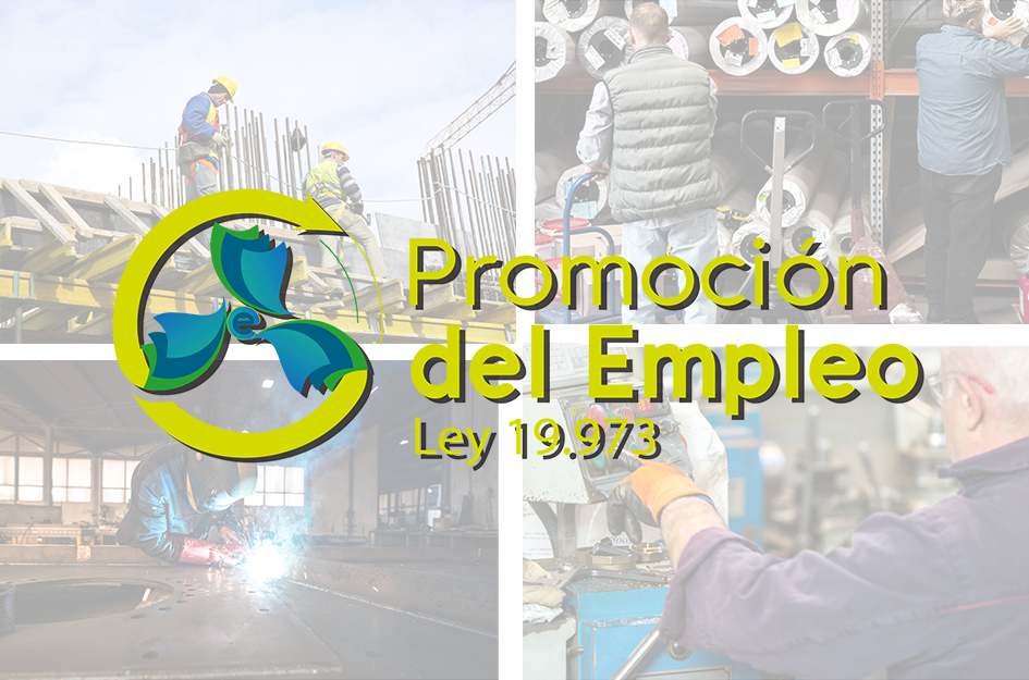 Síntesis beneficios y modalidades Ley de Promoción del Empleo Síntesis beneficios y modalidades Ley de Promoción del Empleo