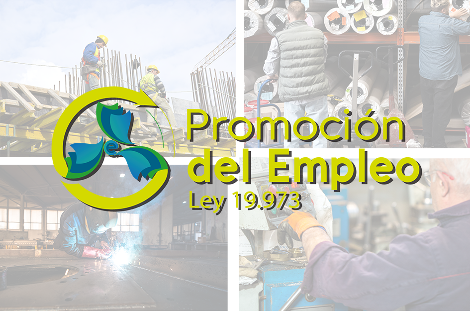 Síntesis beneficios y modalidades Ley de Promoción del Empleo