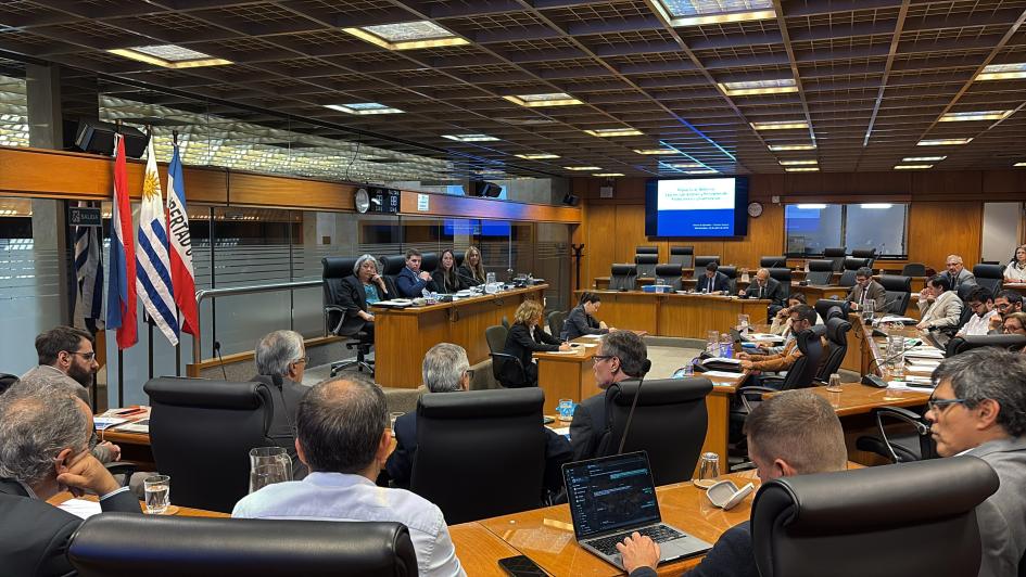 Proyecto de reforma de la Caja de Jubilaciones y Pensiones de Profesionales Universitarios Autoridades presentando proyecto