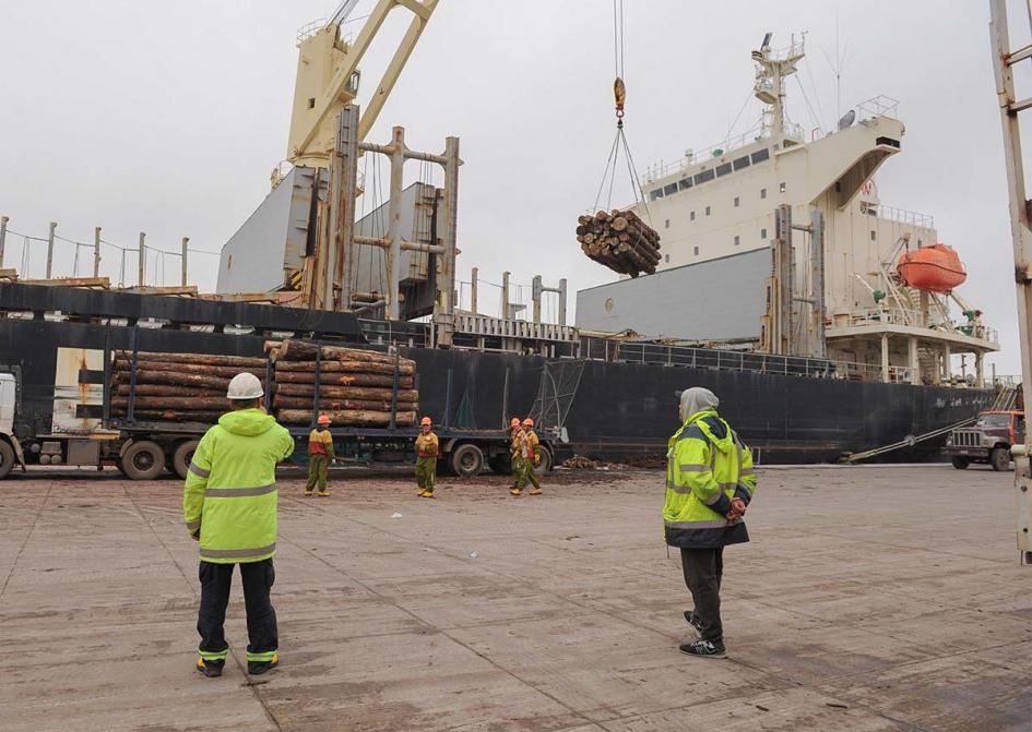 Trabajadores en el puerto Trabajadores en el puerto
