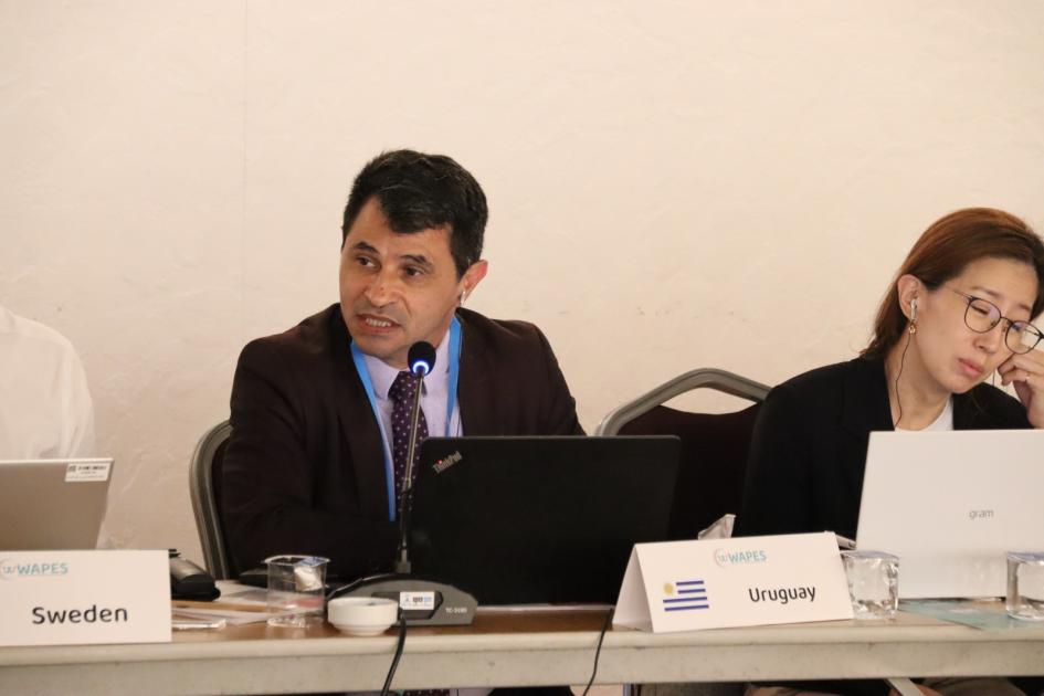 Reunión de la Asociación Mundial de Servicios Públicos de Empleo Daniel Pérez en Reunión de la Asociación Mundial de Servicios Públicos de Empleo