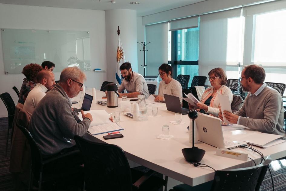 Segunda reunión de la Comisión Sectorial de Protección y Seguridad Social Segunda reunión de la Comisión Sectorial de Protección y Seguridad Social