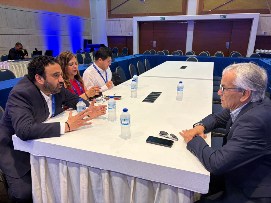 20.ª Reunión Regional Americana