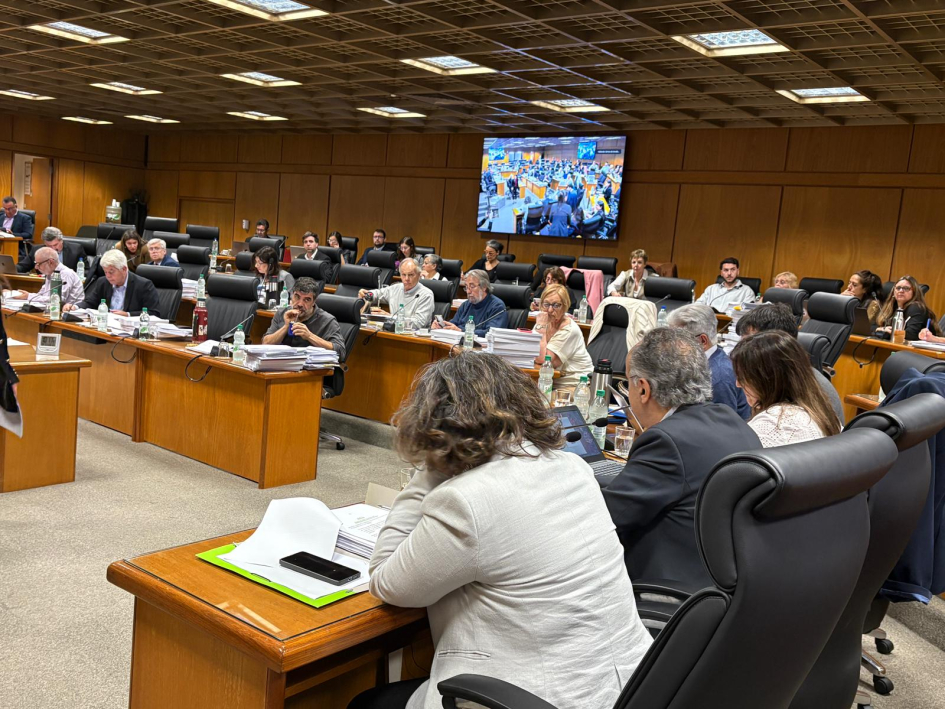 Delegación del MTSS en Comisión de Presupuesto