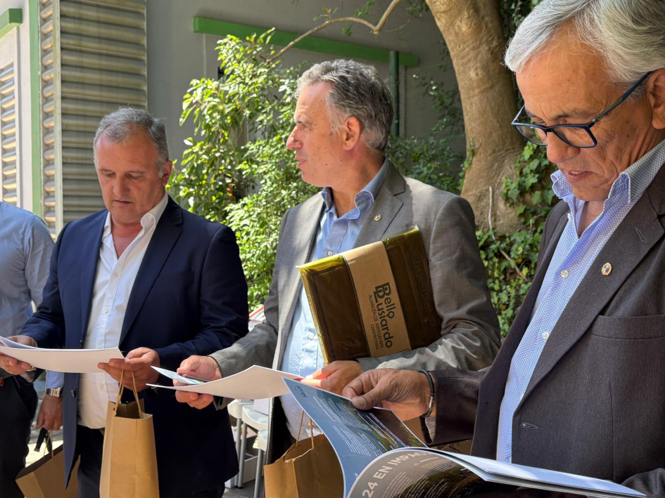 Intendente Ximénez, Orsi, Castillo en Salus