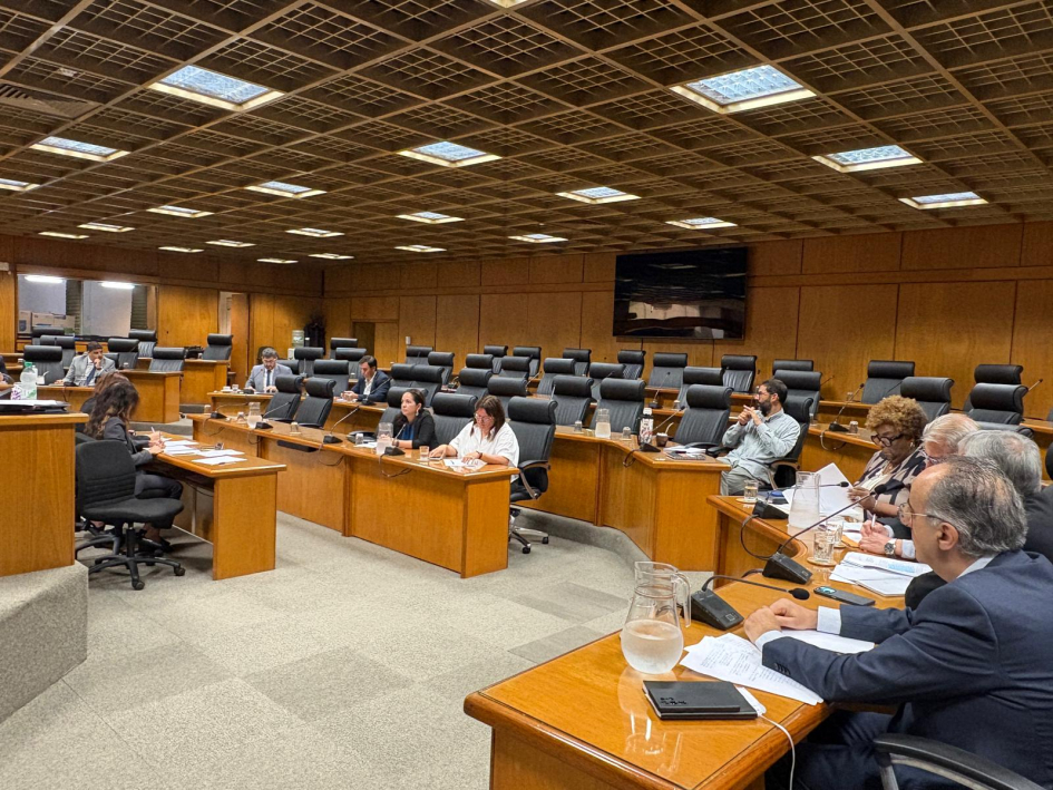 Imagen general de la sala del Parlamento