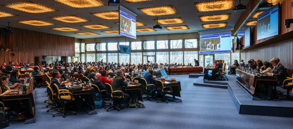 Barretto expuso en OIT