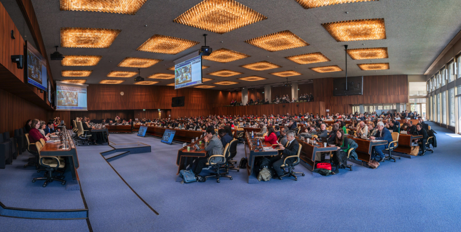 Barretto expuso en OIT