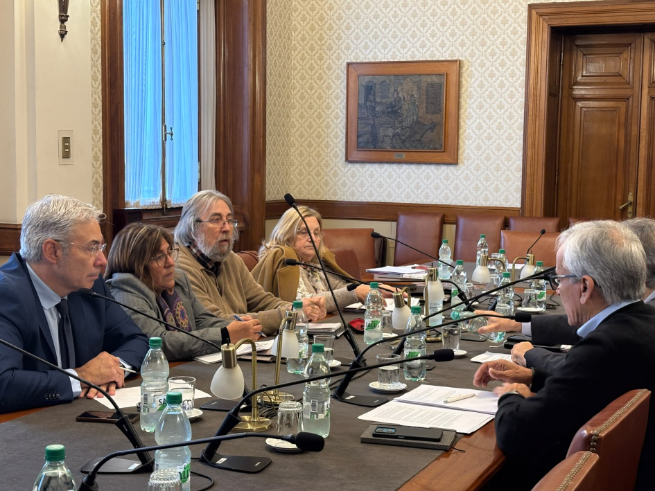 Castillo y Barretto informaron al Senado sobre las recomendaciones de la OIT Castillo y Barretto en Comisión de Asuntos Laborales del Senado