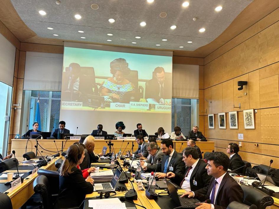 110ª sesión del CERD/ONU Participantes de delegaciones