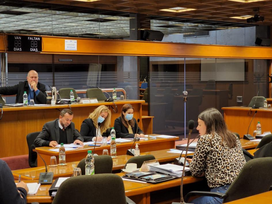 Valentina Arlegui en Comisión de Hacienda de Diputados Valentina Arlegui en Comisión de Hacienda de Diputados