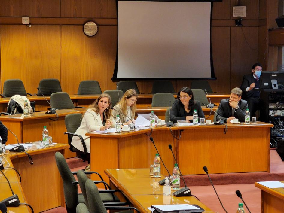 Valentina Arlegui en Comisión de Hacienda de Diputados Valentina Arlegui en Comisión de Hacienda de Diputados
