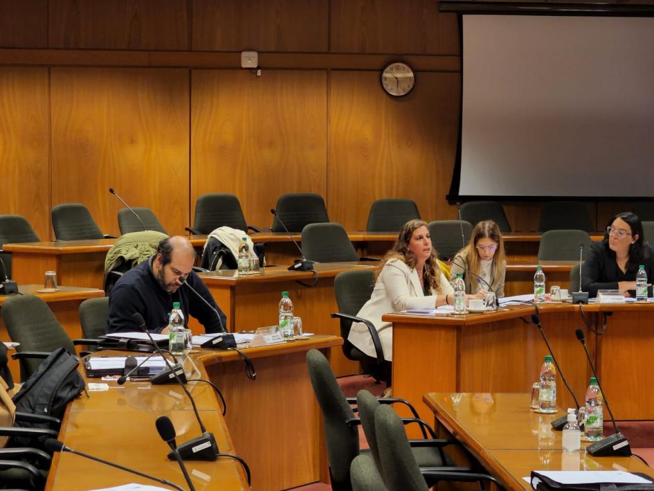 Valentina Arlegui en Comisión de Hacienda de Diputados Valentina Arlegui en Comisión de Hacienda de Diputados