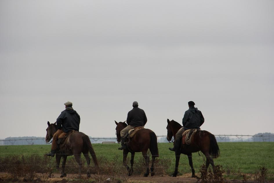 Decreto del Poder Ejecutivo fija remuneraciones del grupo 22 Trabajadores rurales montando a caballo