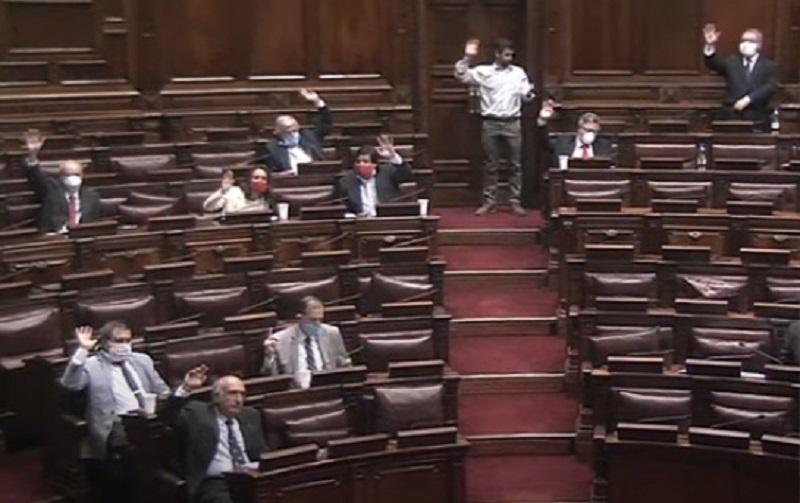 senado senado