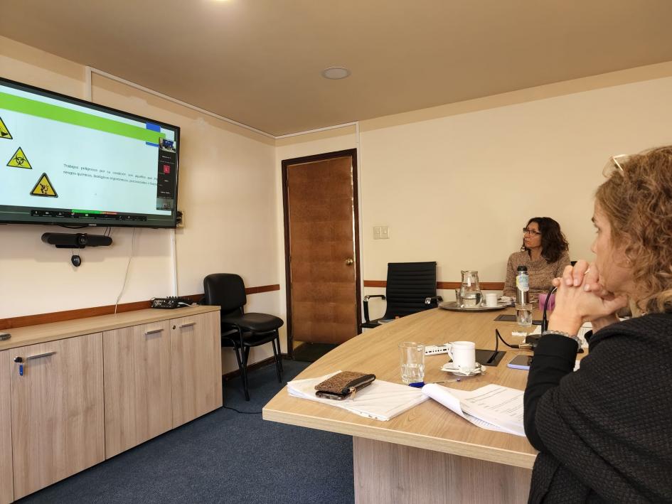 Seminario Buenas Prácticas para Combatir el Trabajo Infantil y Forzoso Seminario Buenas Prácticas para Combatir el Trabajo Infantil y Forzoso