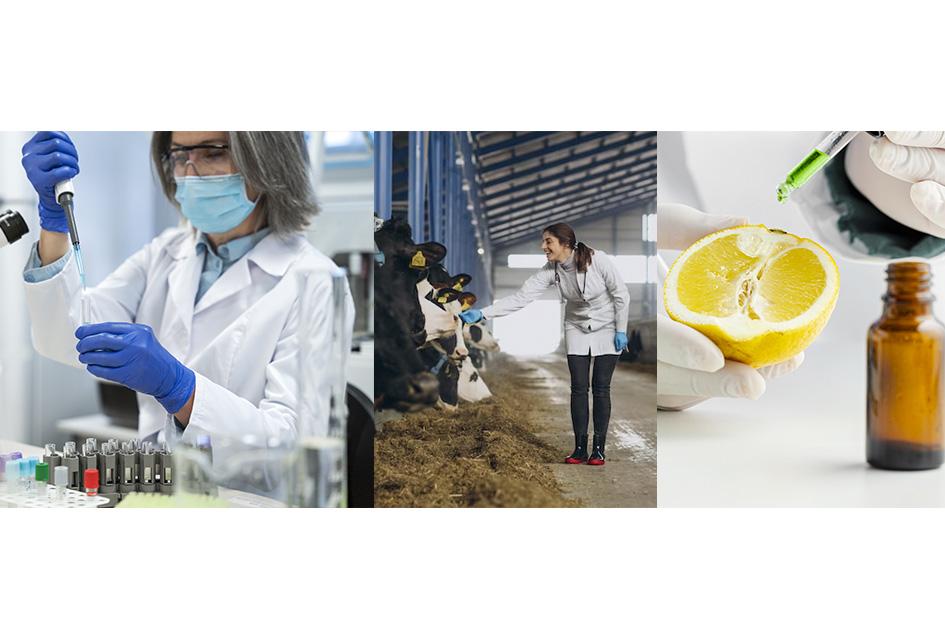 Día del Trabajador de la Química, Pinturerías, Veterinarias Día del Trabajador de la Química, Pinturerías, Veterinarias