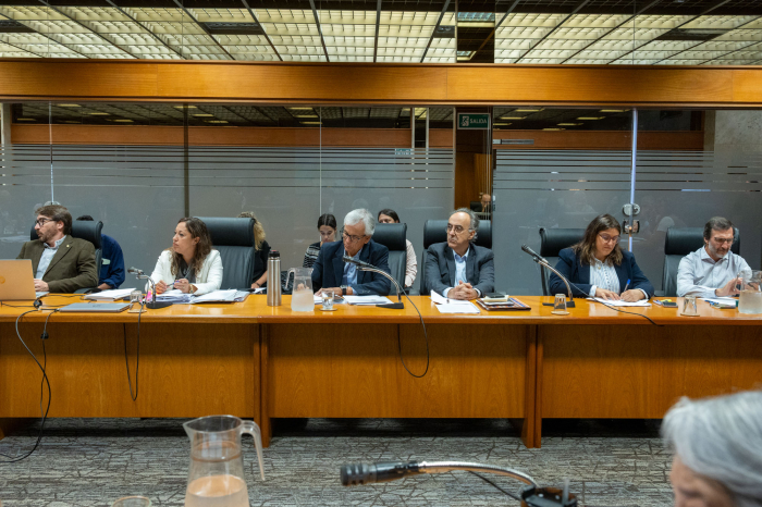 Castillo destacó nuevas medidas para mejorar la competitividad y fortalecer el empleo de calidad MTSS y MIEM en Comisión de Legislación del Trabajo de Cámara de Diputados