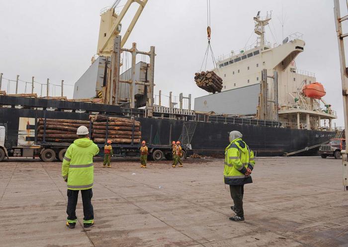 Trabajadores en el puerto