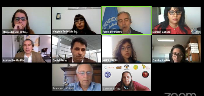 Conferencia: ¿Cómo nos preparamos para la salida gradual y selectiva del confinamiento en el trabajo doméstico? Participantes en la conferencia virtual