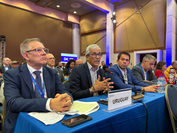 Clausura encuentro regional OIT