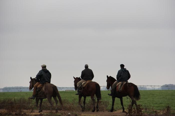 Decreto del Poder Ejecutivo fija remuneraciones del grupo 22 Trabajadores rurales montando a caballo