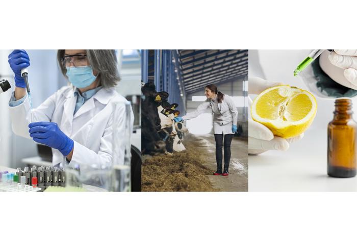 Día del Trabajador de la Química, Pinturerías, Veterinarias