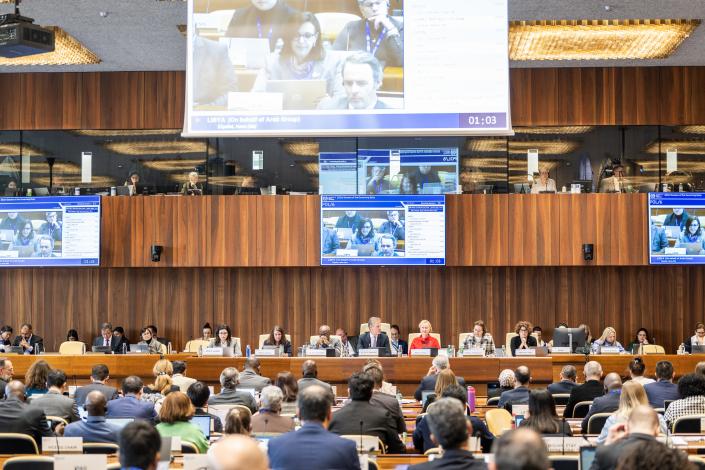 353.ª reunión del Consejo de Administración de la OIT