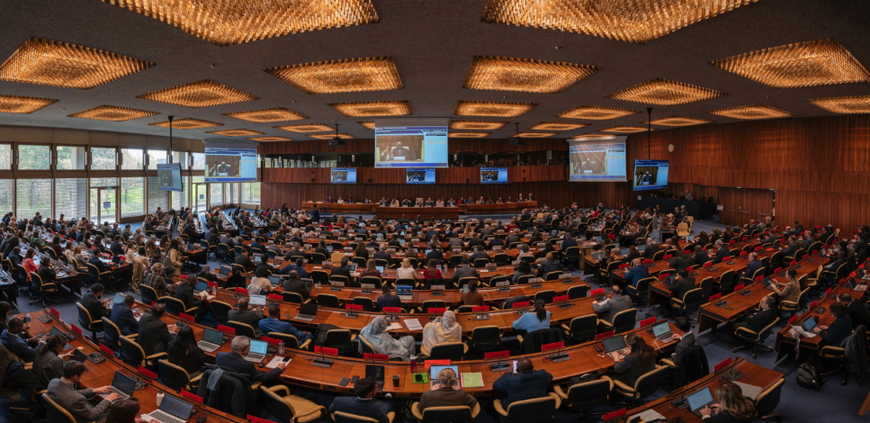 Barretto expuso en OIT