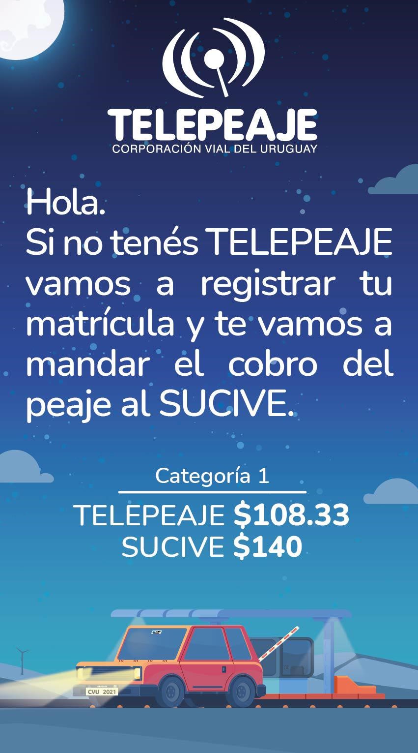 Telepeaje