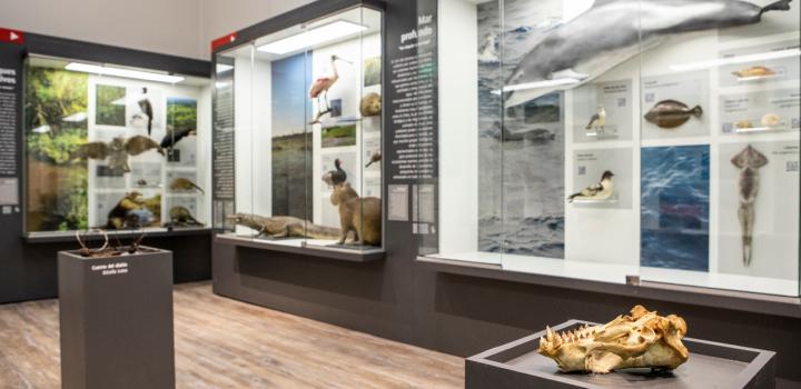 Museo Nacional de Historia Natural ex cárcel Miguelete