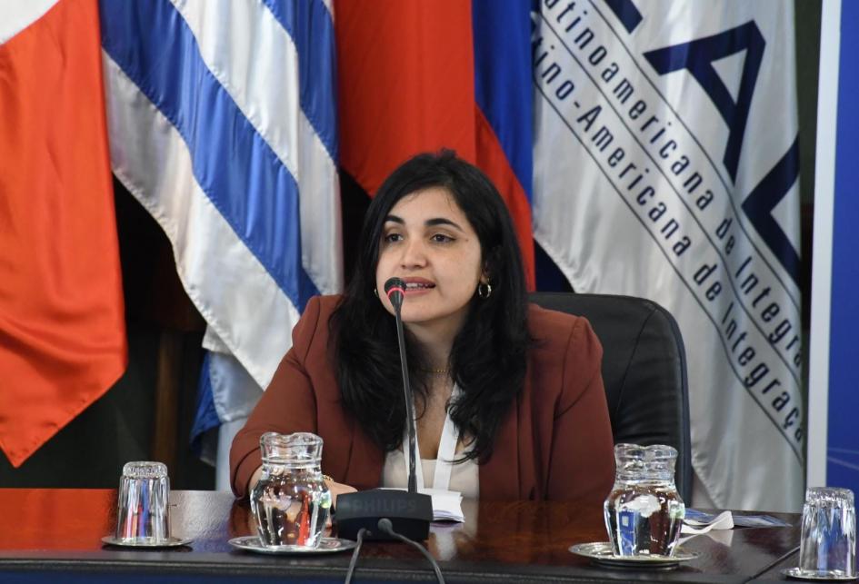 LXII Reunión Ordinaria del Subgrupo de Trabajo Nº5 “Transporte” del Mercosur Autoridades en ALADI