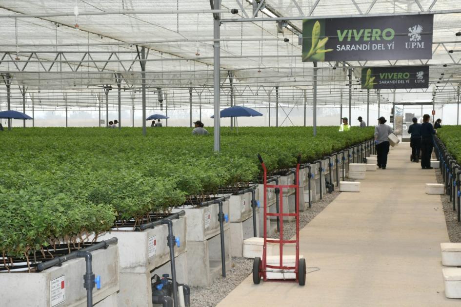 Visita al nuevo vivero de UMP Visita al nuevo vivero de UMP