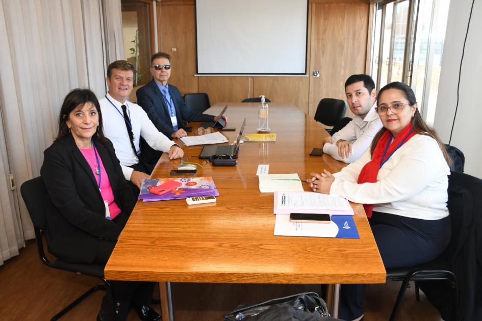 Grupos de trabajo conformado por delegaciones de cinco países latinoamericanos