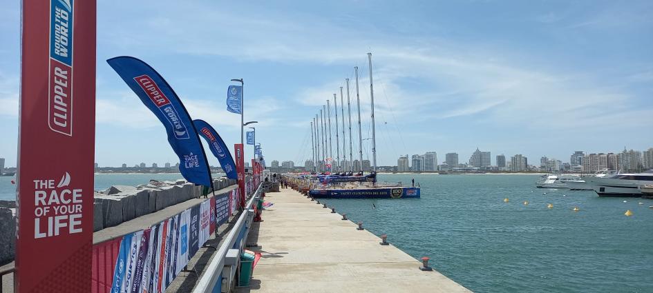 El Puerto de Punta del Este recibe a la Clipper Race y celebra victoria uruguaya 