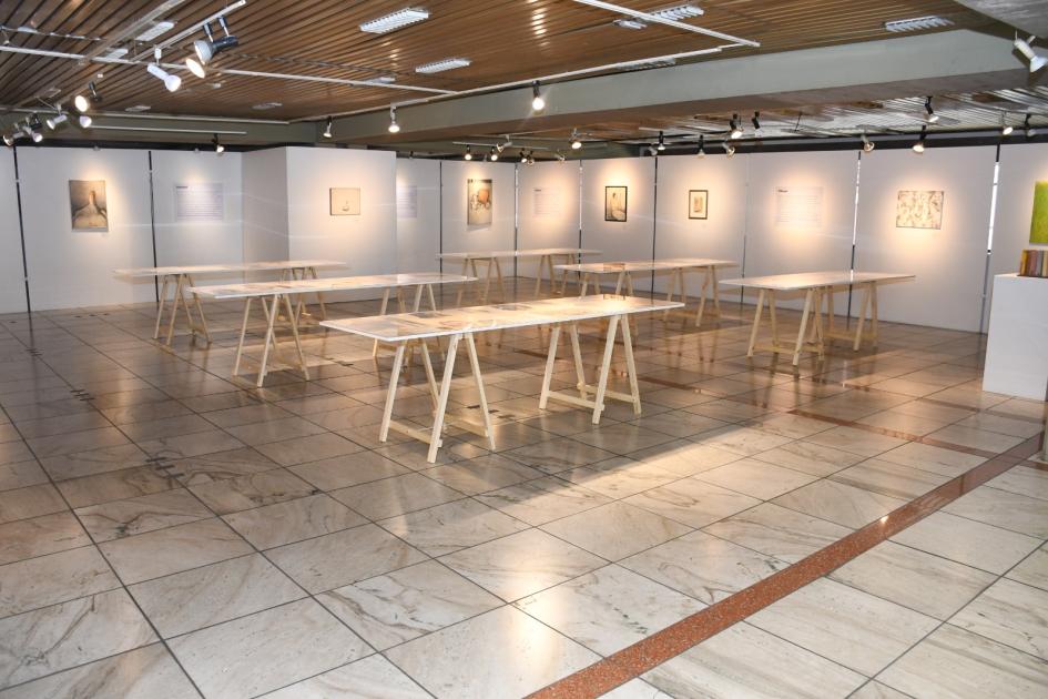 Muestras de arte de Linda Kohen y Eva Olivetti Muestras de arte de Linda Kohen y Eva Olivetti