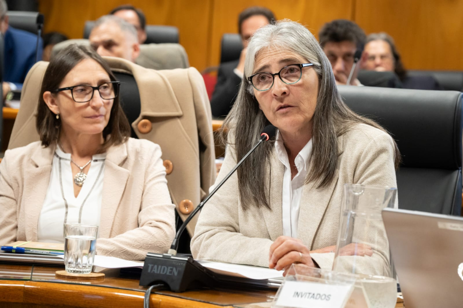 Fotos del "Departamento de Fotografía del Parlamento del Uruguay"