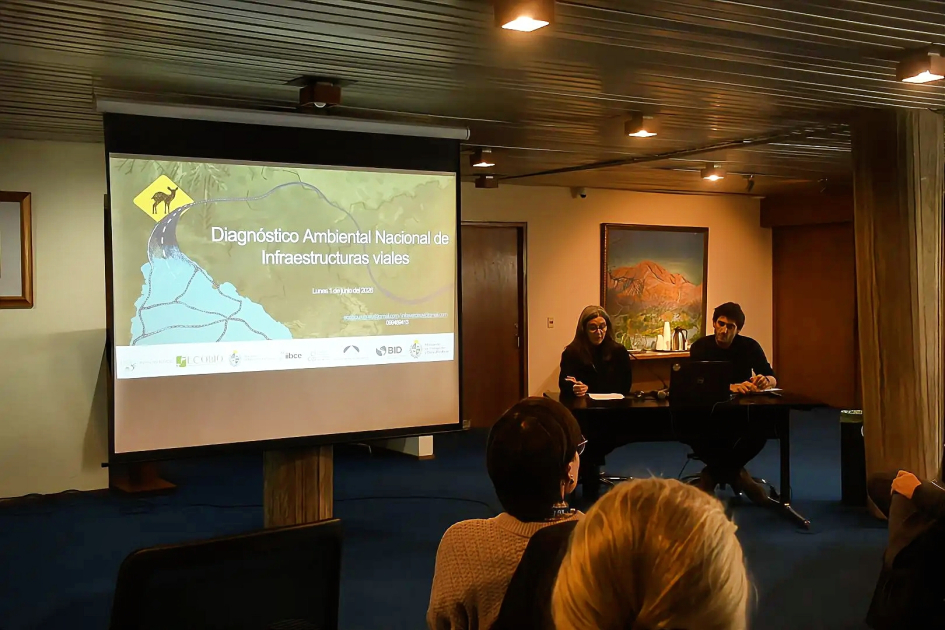 Nueva app busca reducir el impacto de las rutas sobre la fauna silvestre