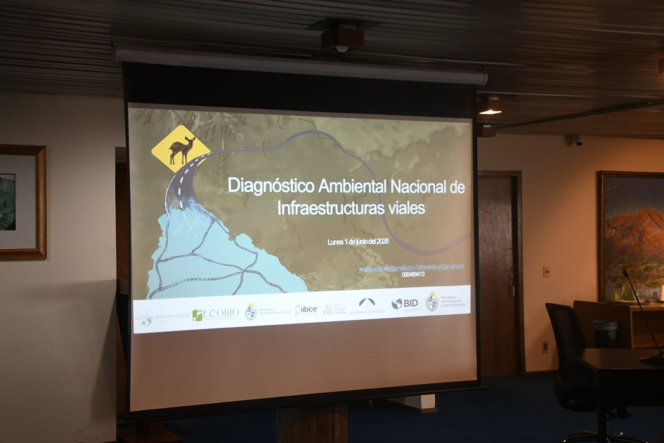 Nueva app busca reducir el impacto de las rutas sobre la fauna silvestre