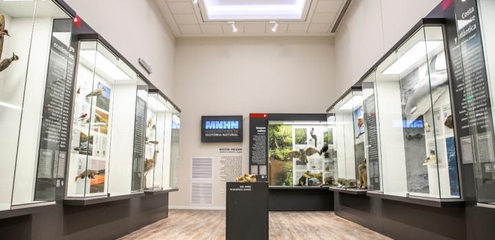 Museo Nacional de Historia Natural ex cárcel Miguelete