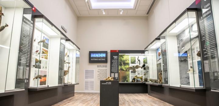 Museo Nacional de Historia Natural ex cárcel Miguelete Museo Nacional de Historia Natural ex cárcel Miguelete