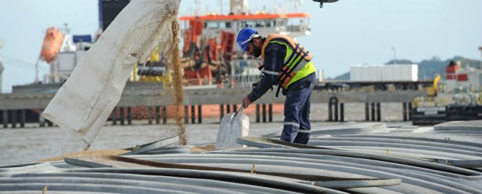 Obras en el puerto de Nueva Palmira Obras en el puerto de Nueva Palmira