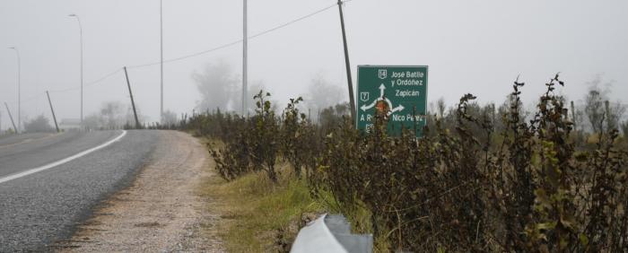 Ruta con cartelería ilustrativa