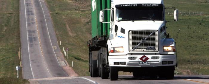 Camión circulando por ruta