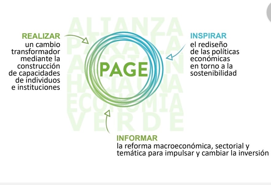 Proyecto "Transición hacia una Economía Verde", sesión virtual a través de la plataforma ZOOM 