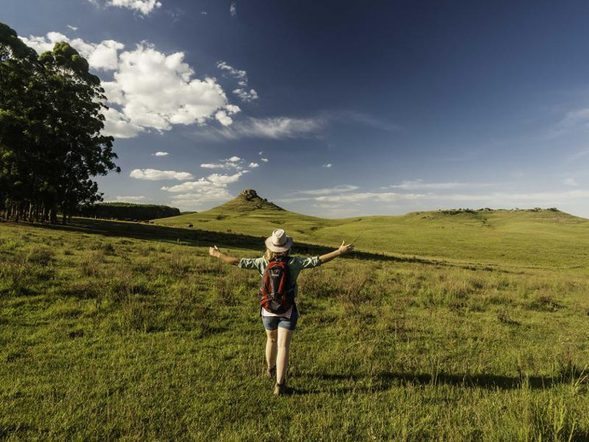 Campo en Uruguay, autor Balvano